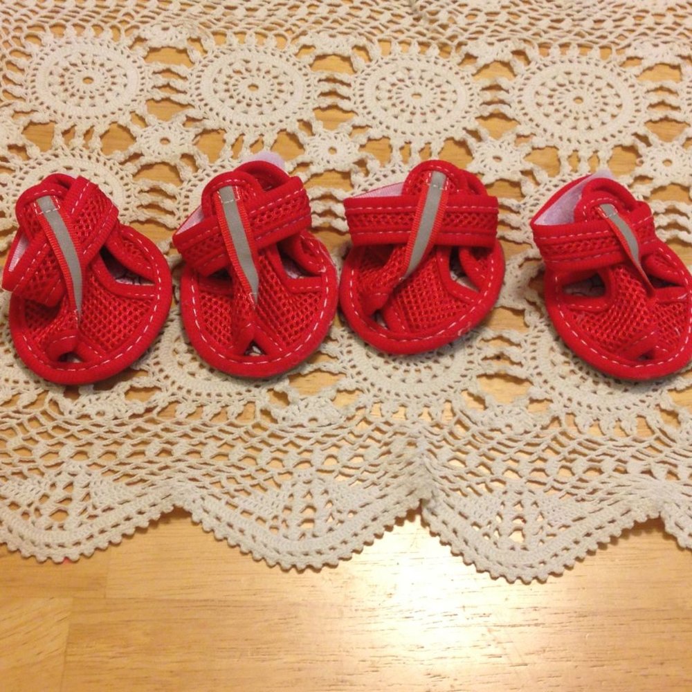 Adorable itty bitty doggie mesh shoes